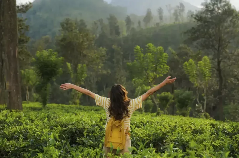 Sri Lanka Grand Tour